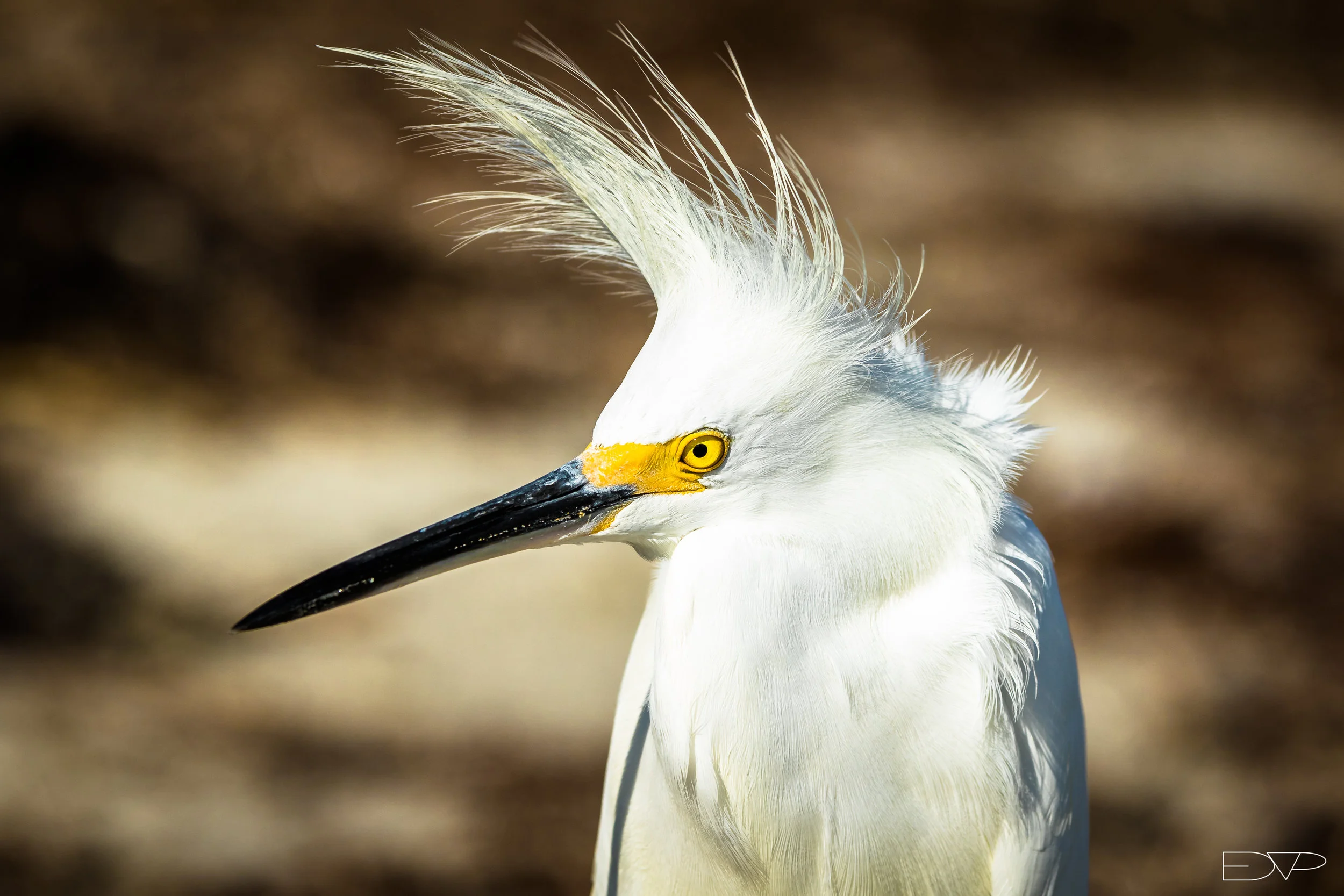 Ponce Inlet-5025.JPG
