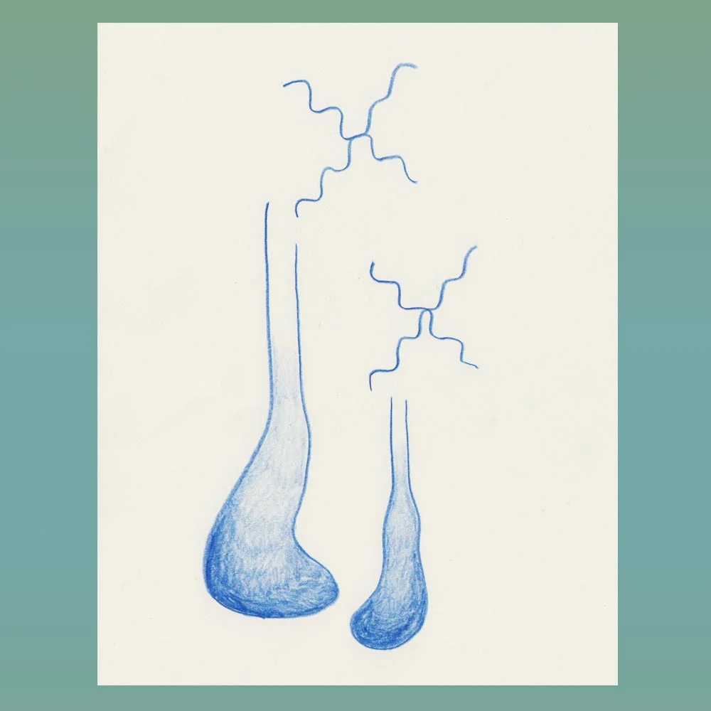 shadowlymphnodes.jpg