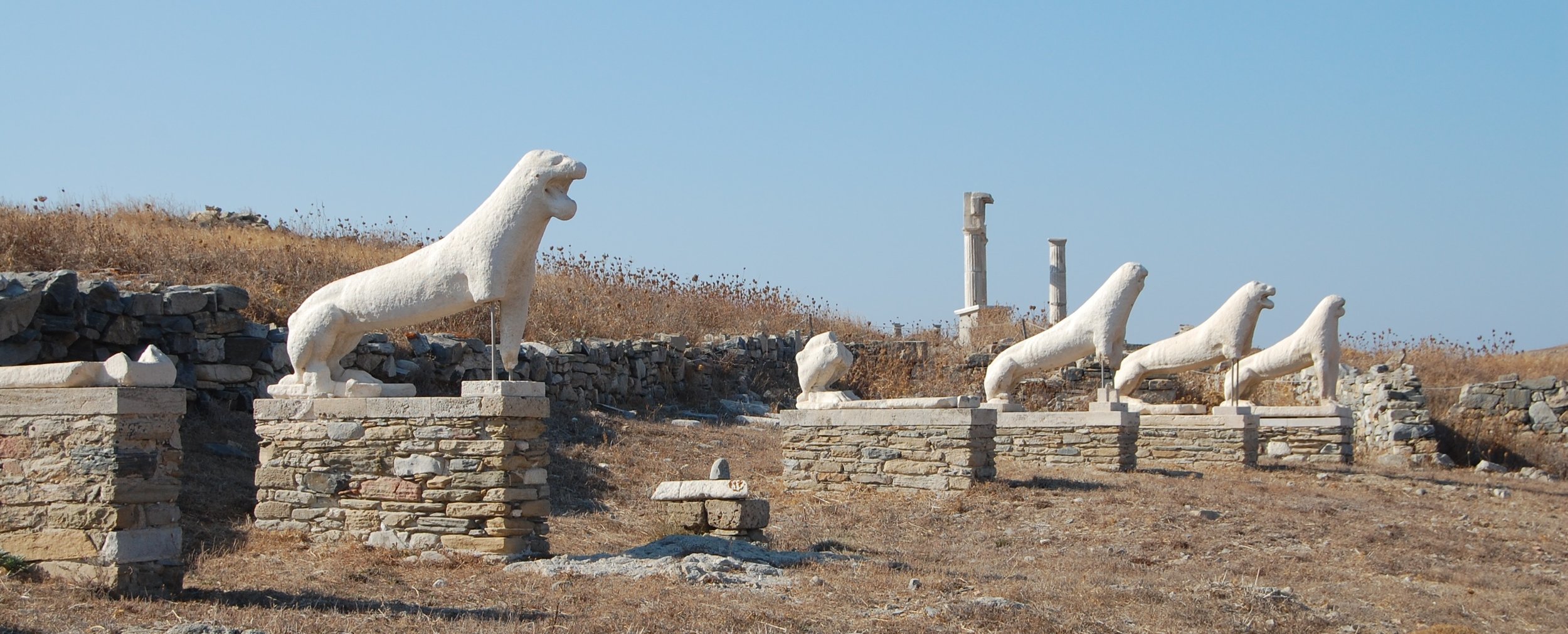 DSC_0813.JPG