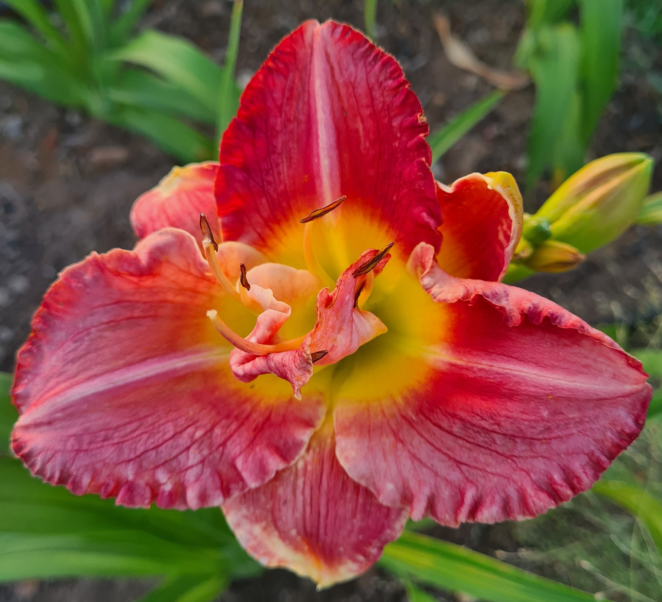 Double Image (12).jpg