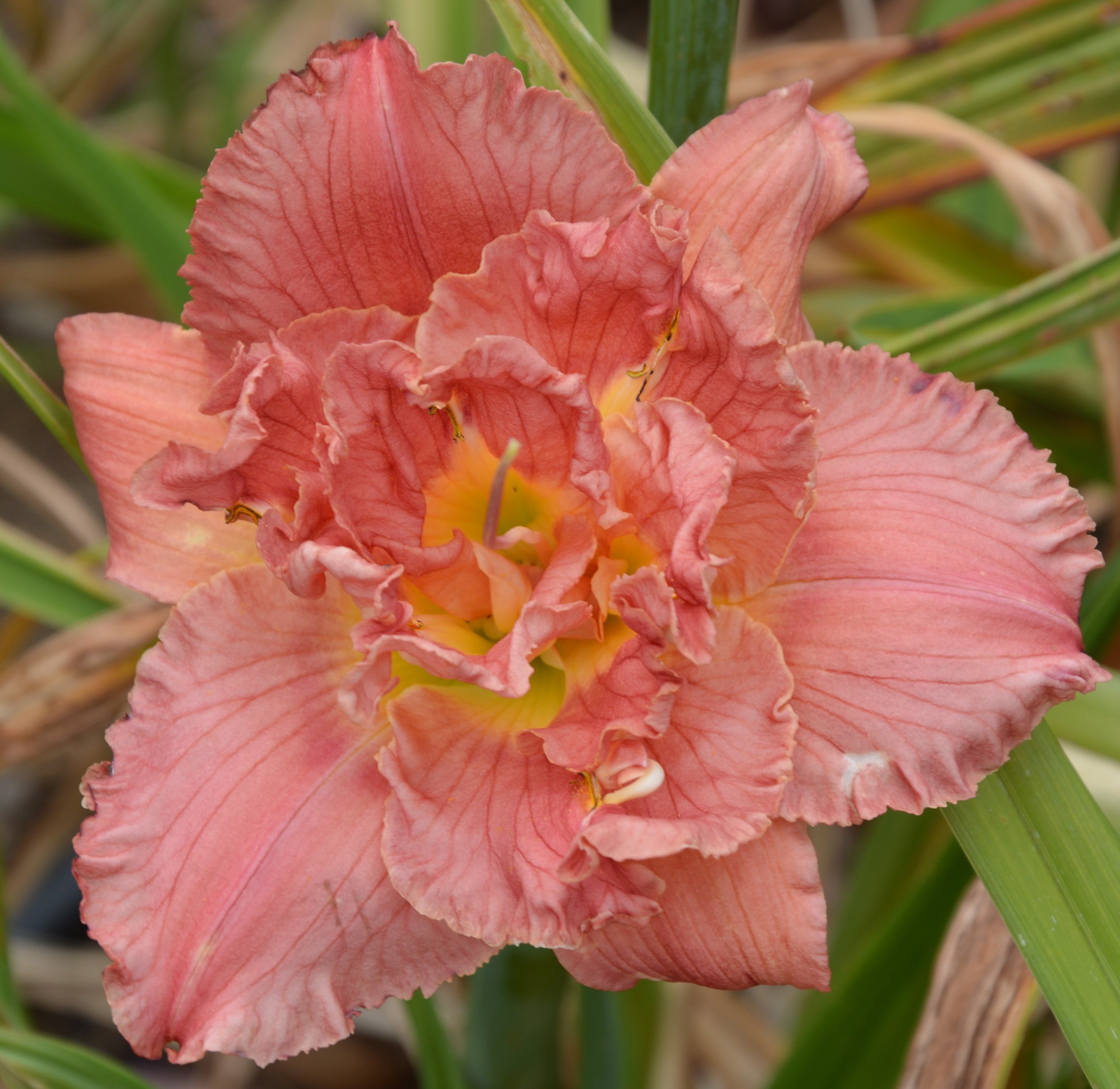 Cutting Edge (14).JPG