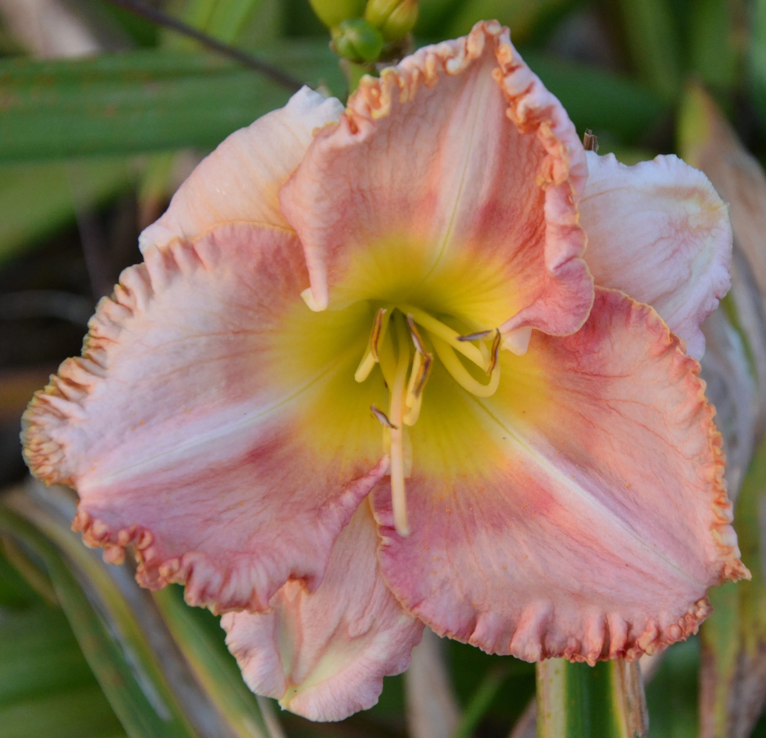 Dancing with Julie (8).JPG