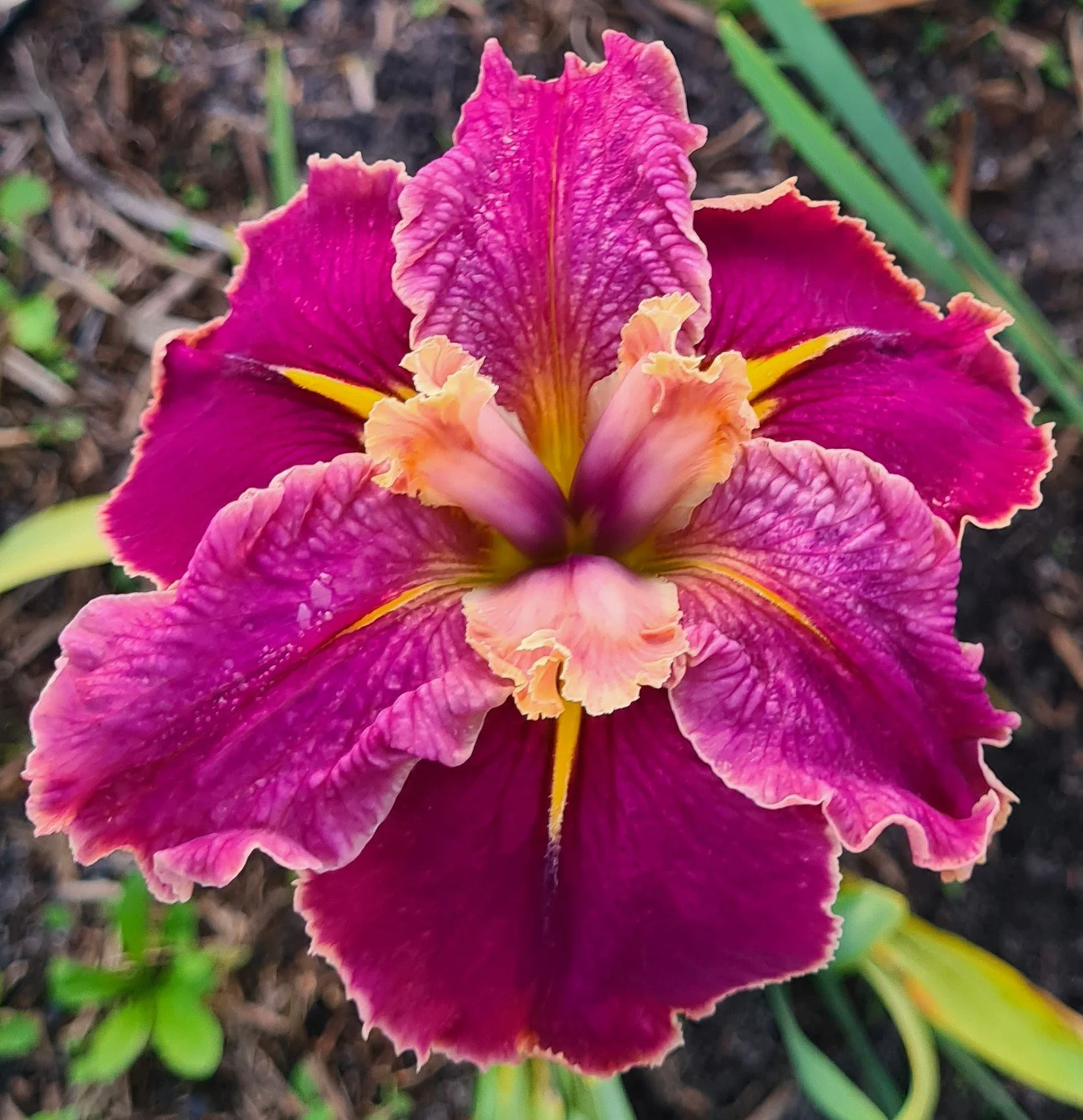 Catwalk Idol (30).jpg