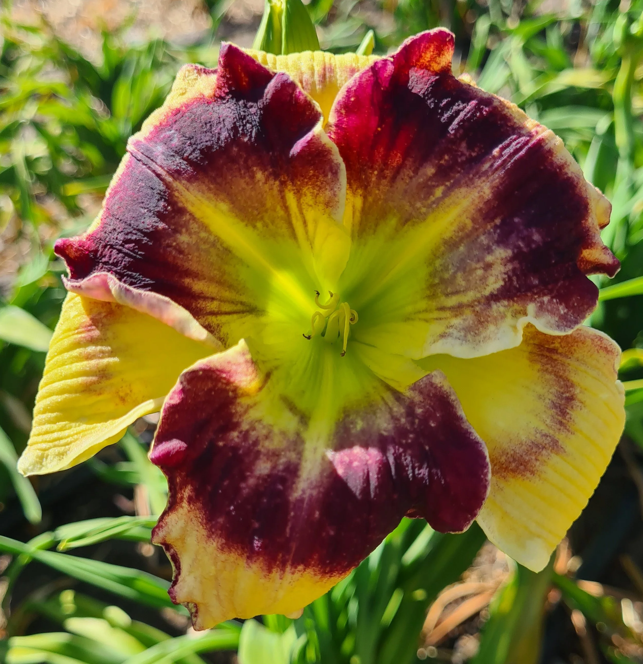 Eloquently Edged  (1).jpg