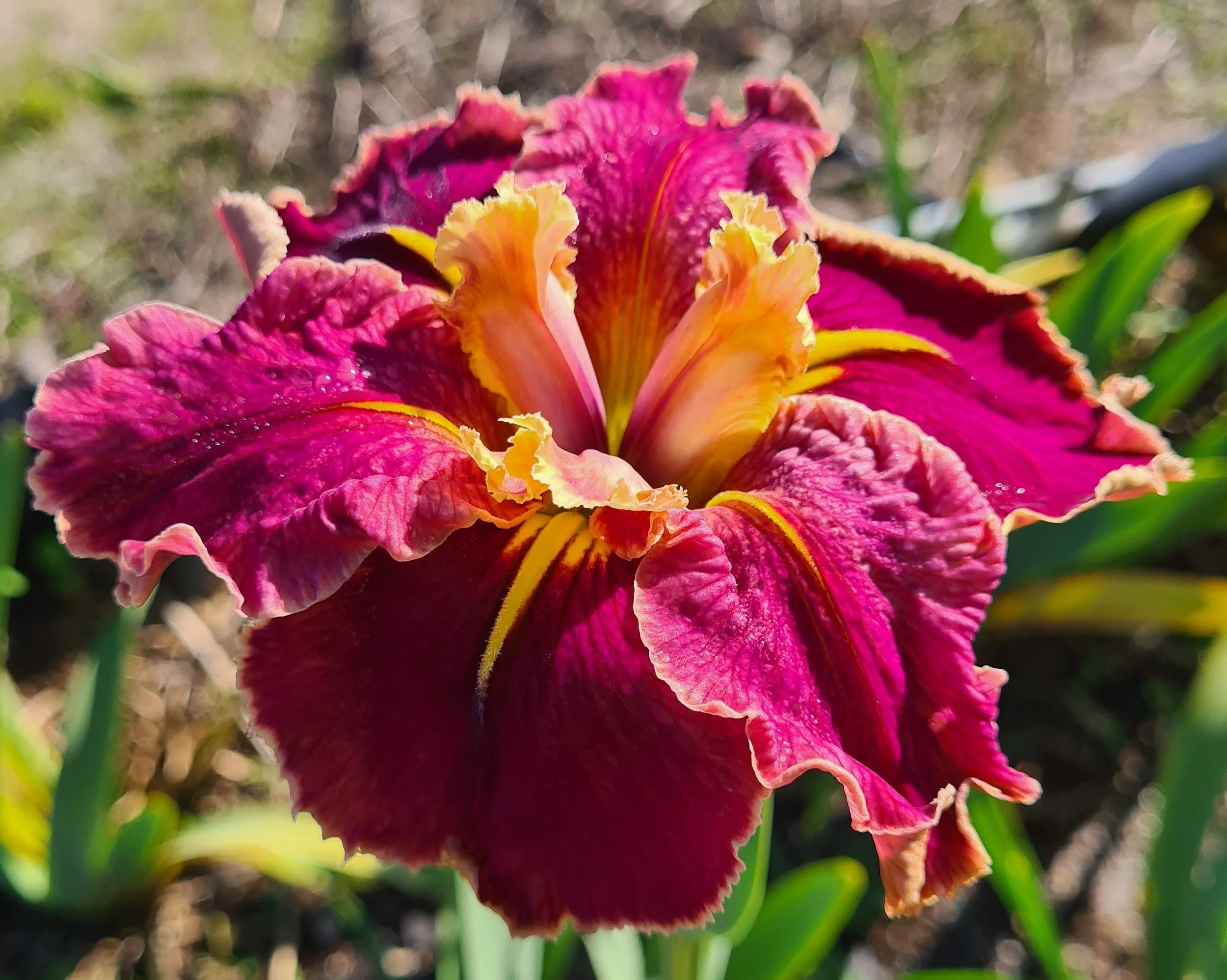 Catwalk Idol (103).jpg