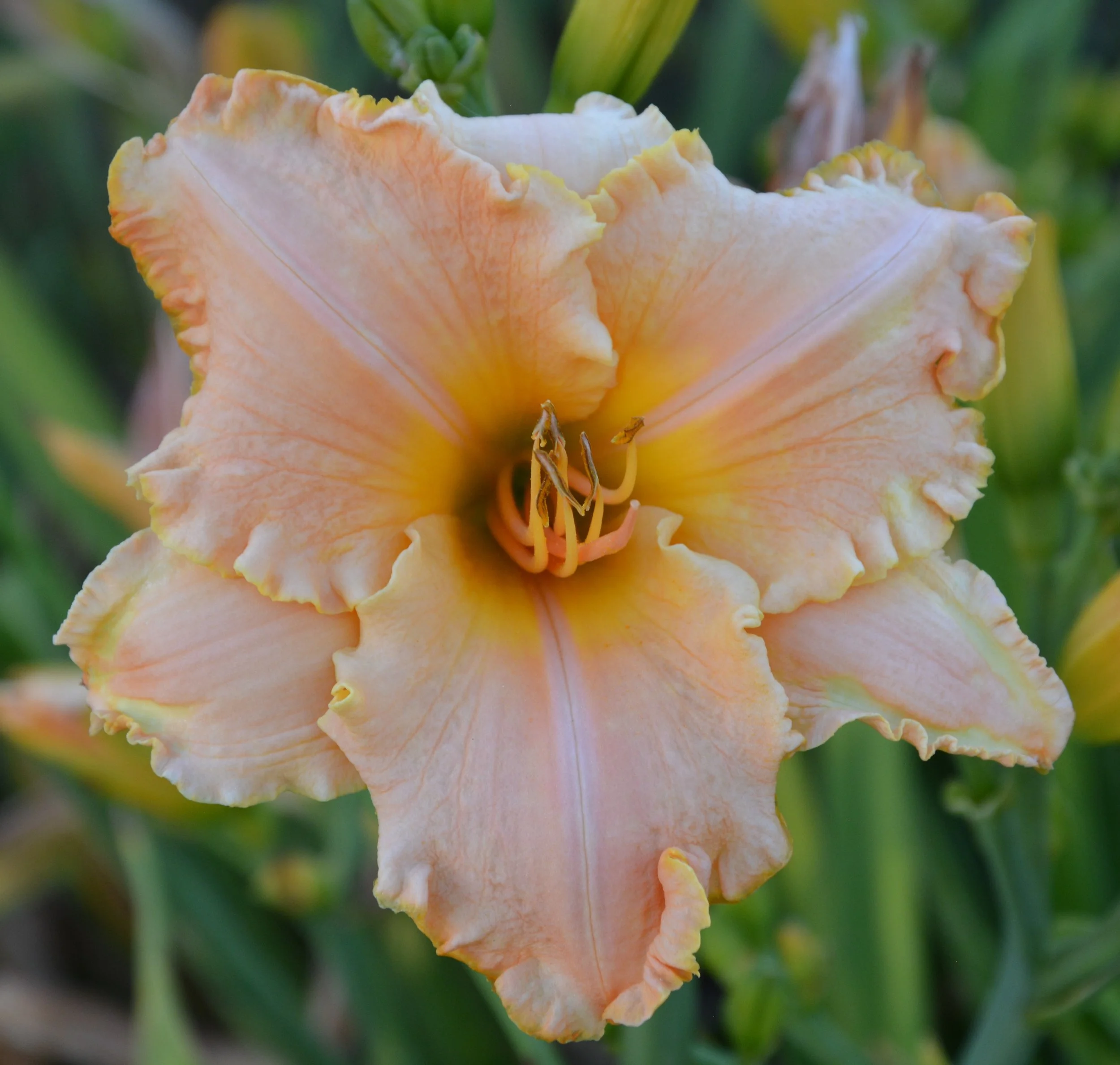 Breaking the Rules (16).JPG