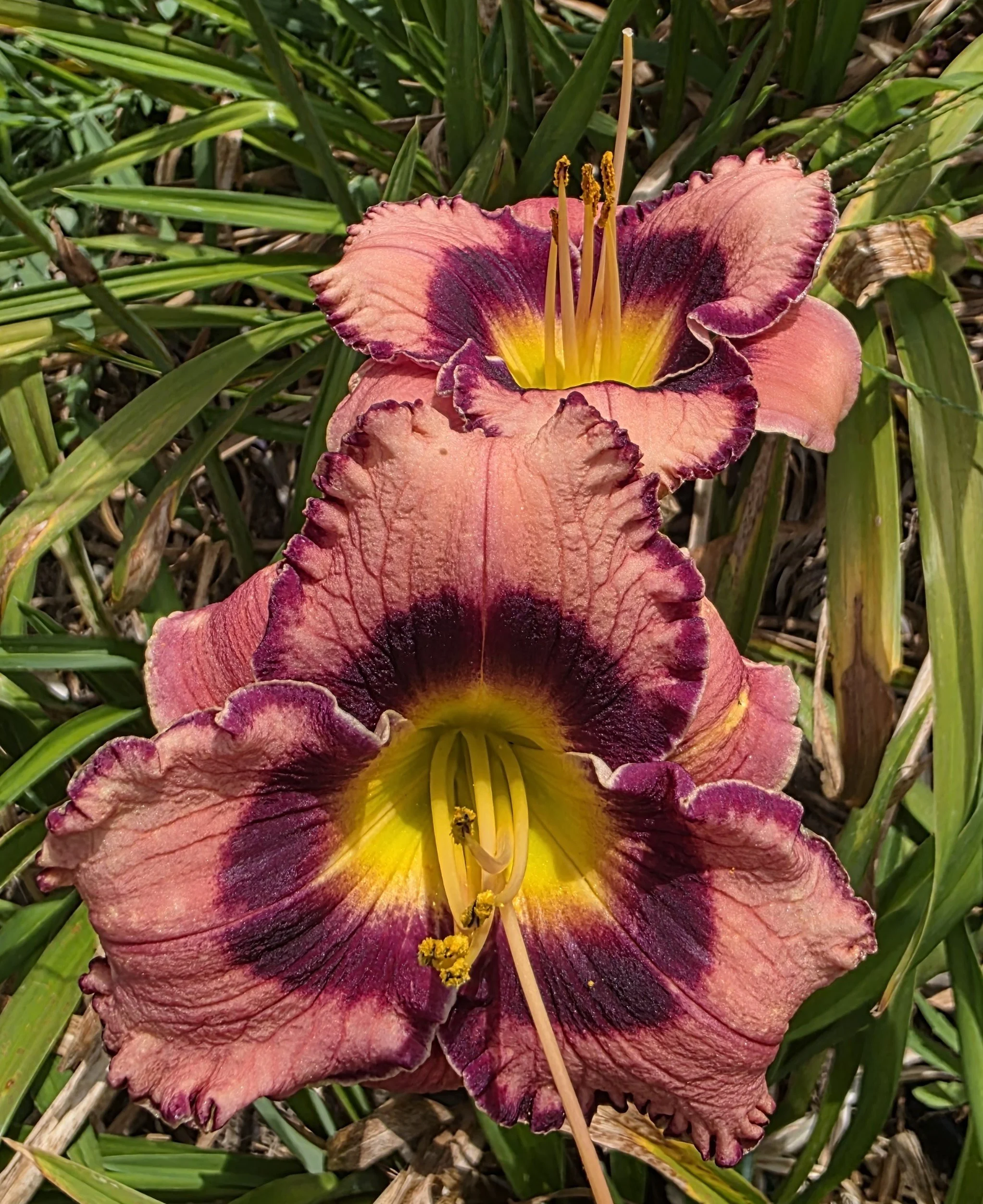 Bold and Banded (15).jpg