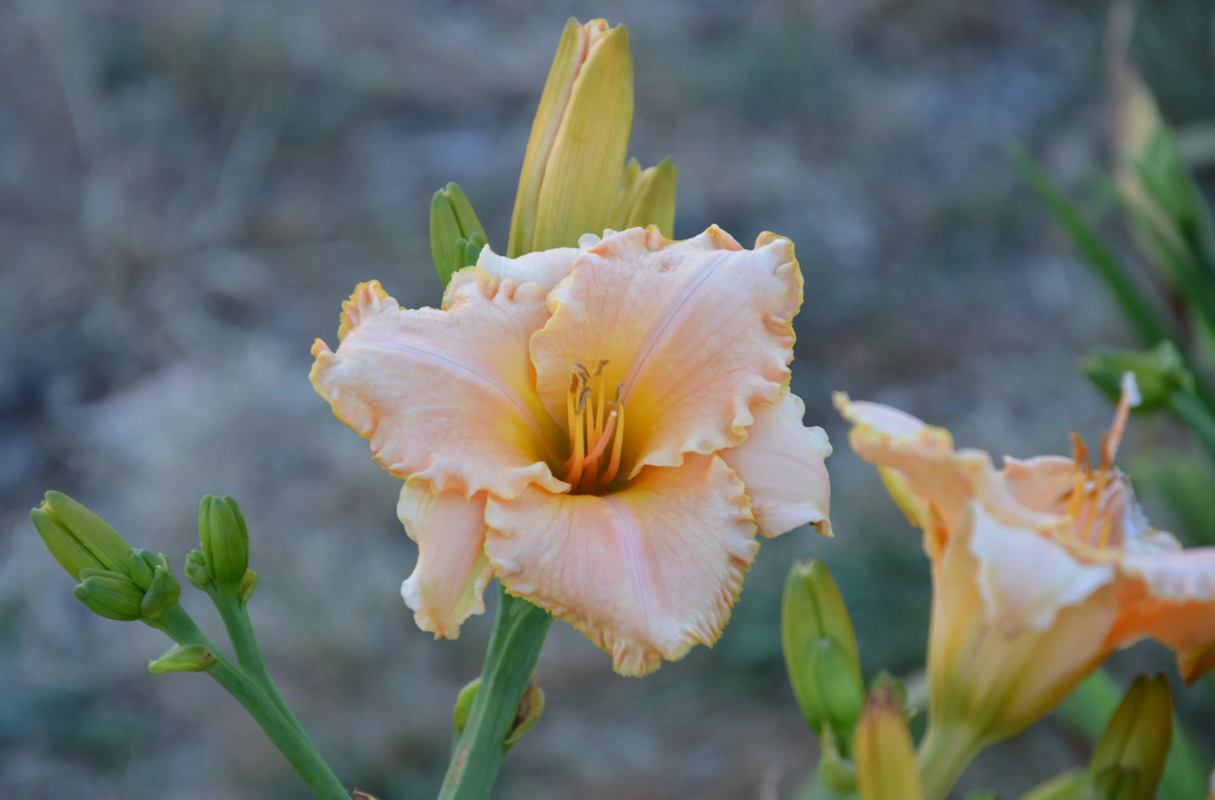 Breaking the Rules (14).JPG