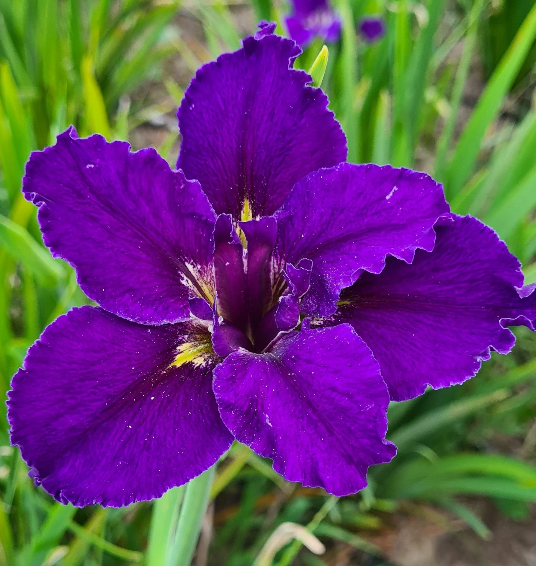 Extraordinaire (6).jpg