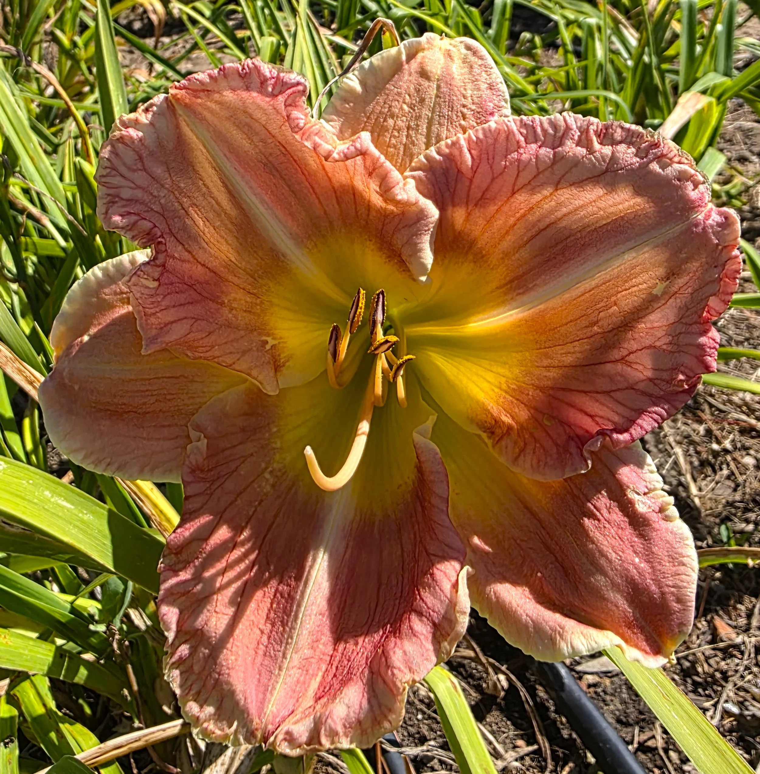 Beautiful to Behold (15).jpg