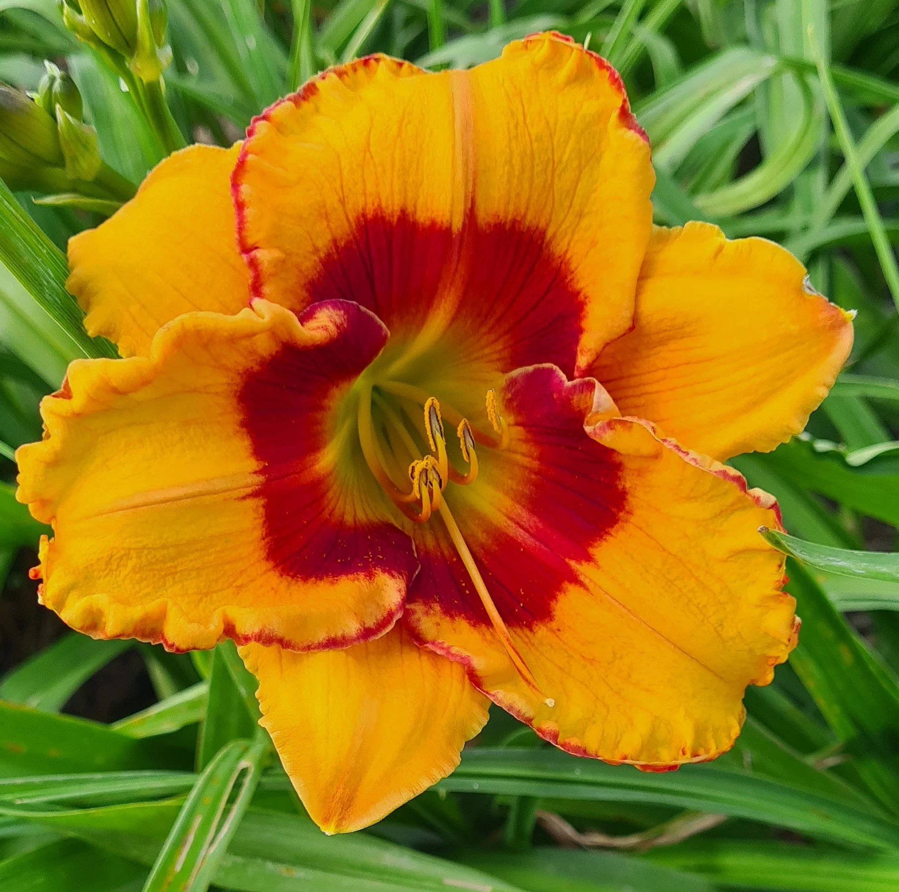 Candid Colors (4).jpg