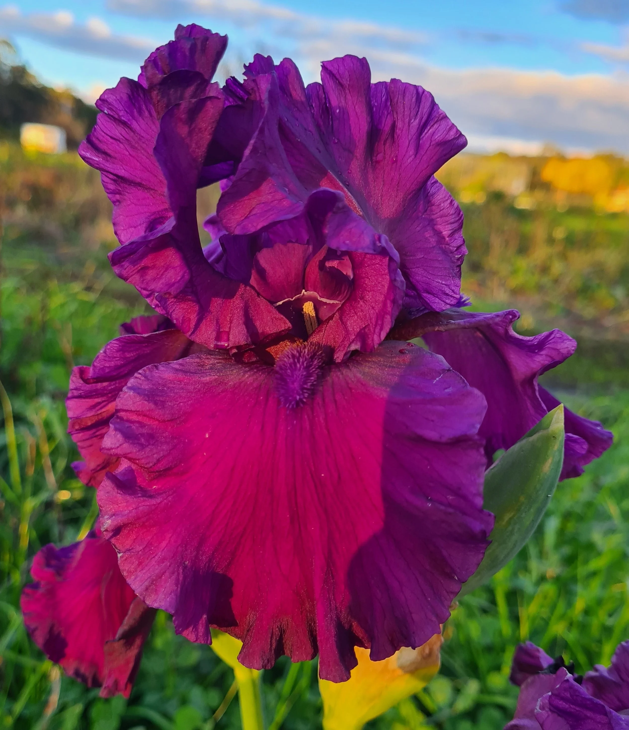 Great Reward (7).jpg