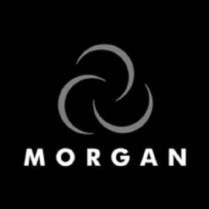 Morgan Consulting.jpg