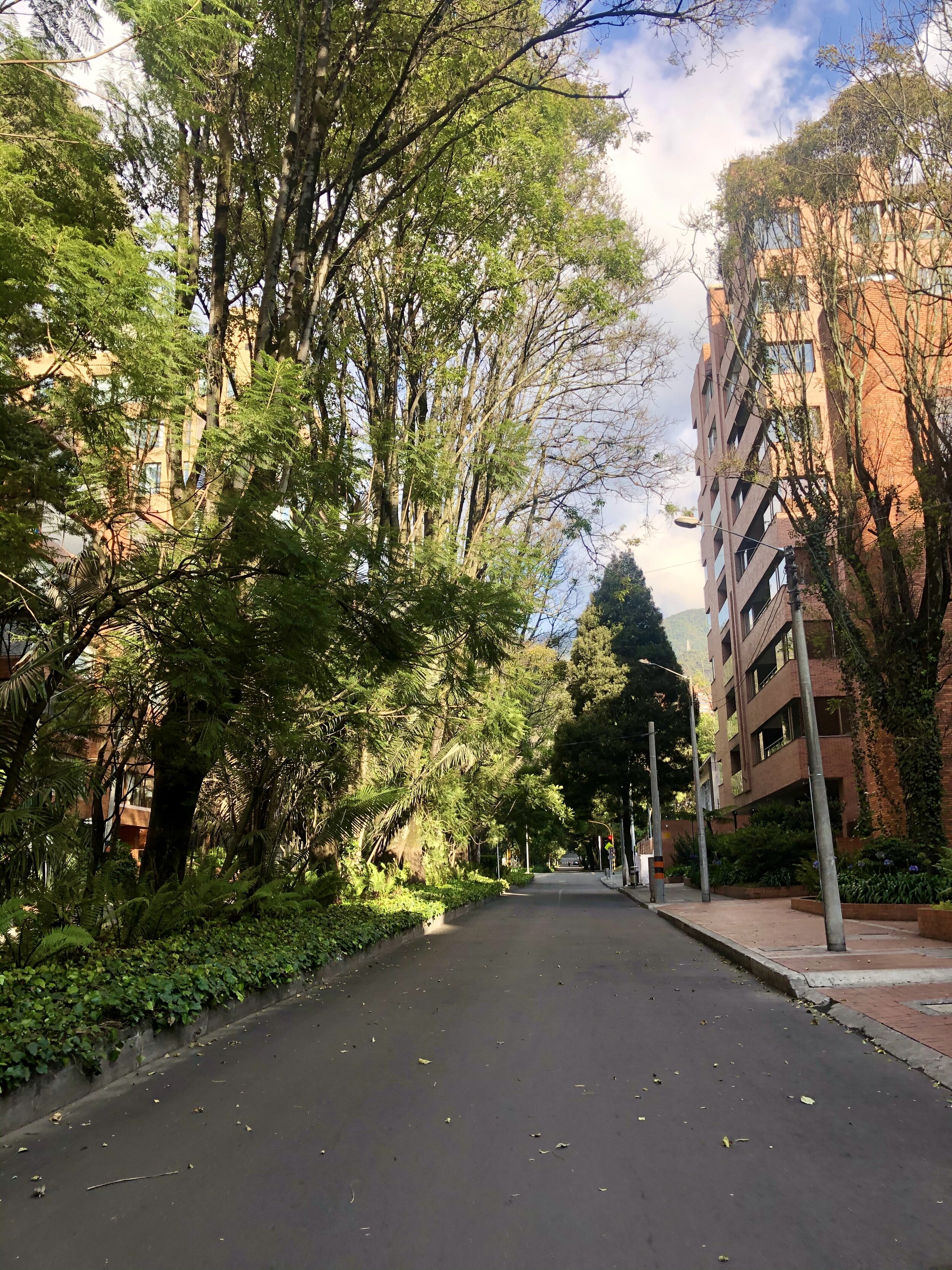 Beautifully serene streets of Bogota. 