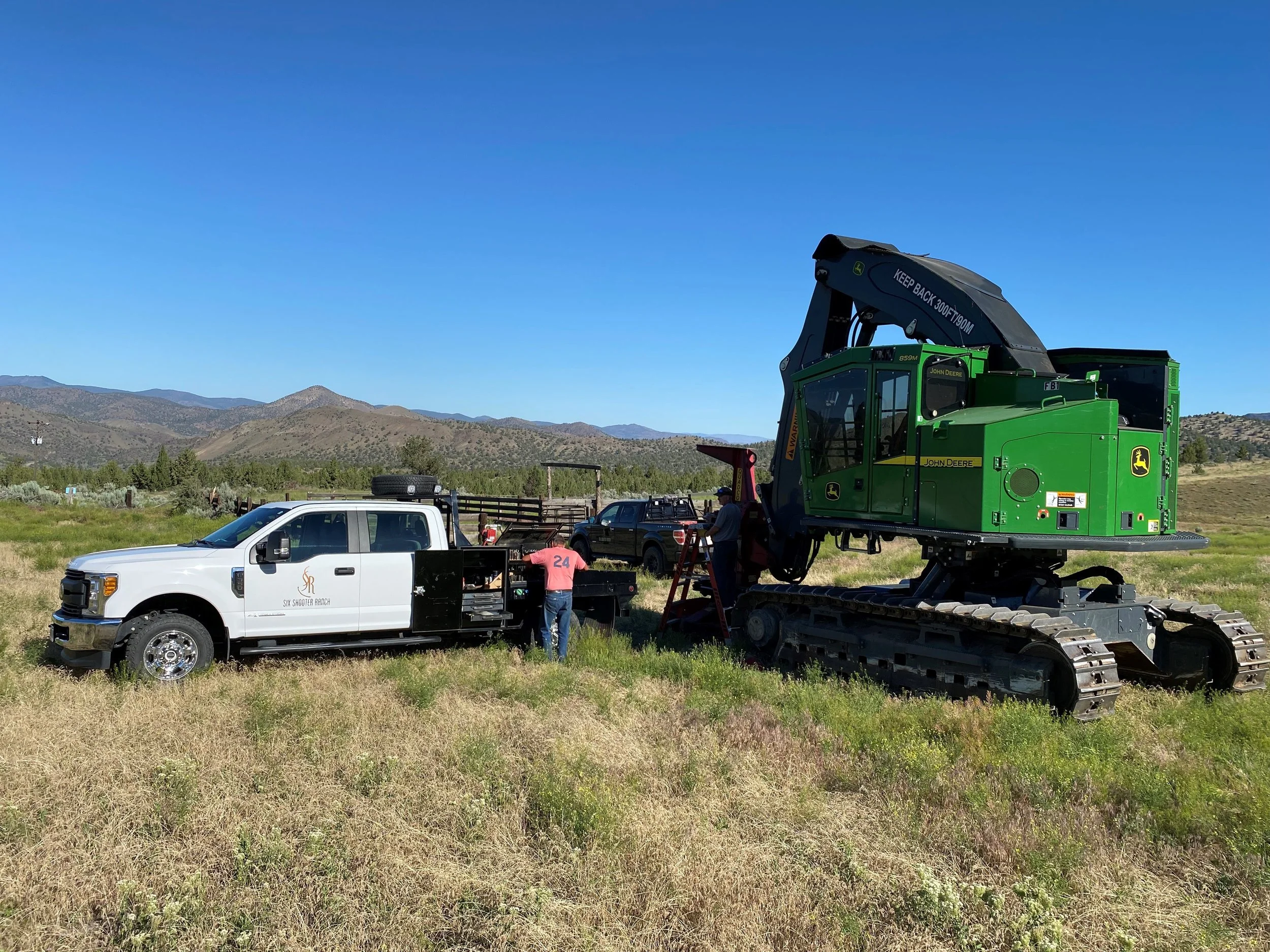 Juniper Cuttings.jpg