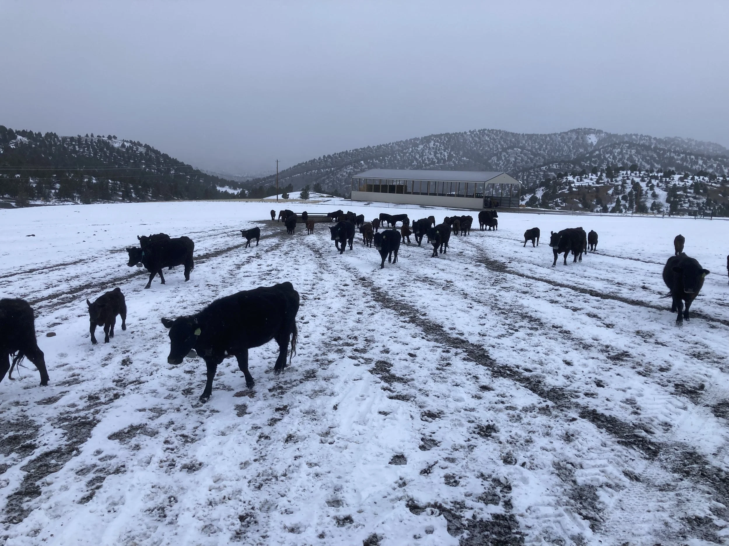 Photo Apr 13, 7 22 22 AM.jpg