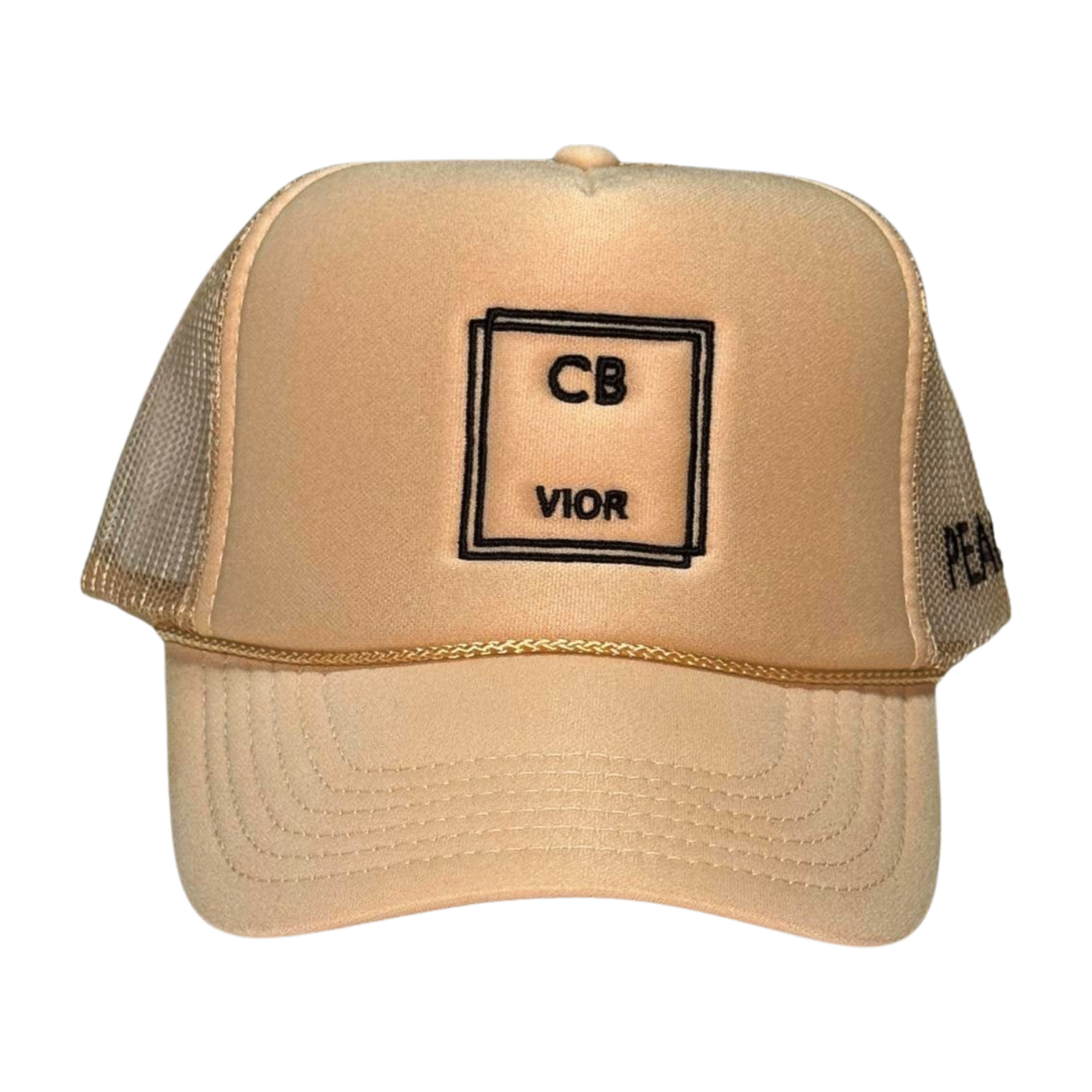 CB_VIOR_Hat_4.png