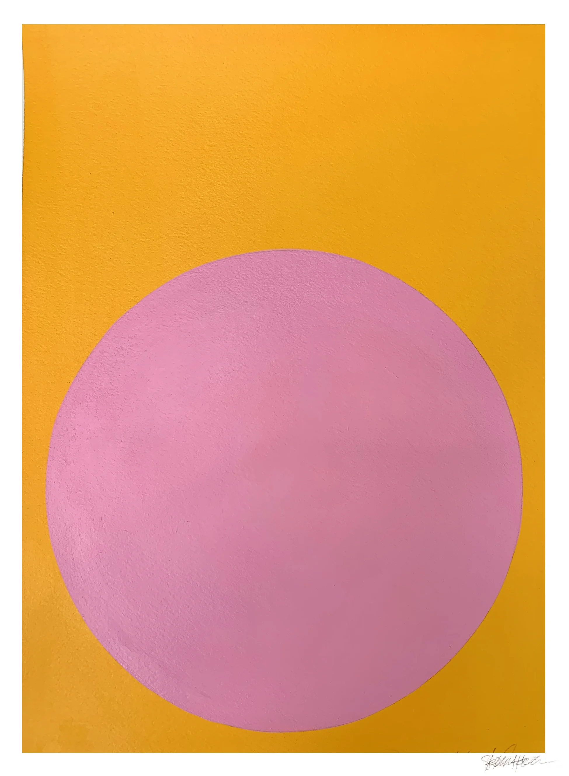 Tulle-Pink-on-Saffron.jpg