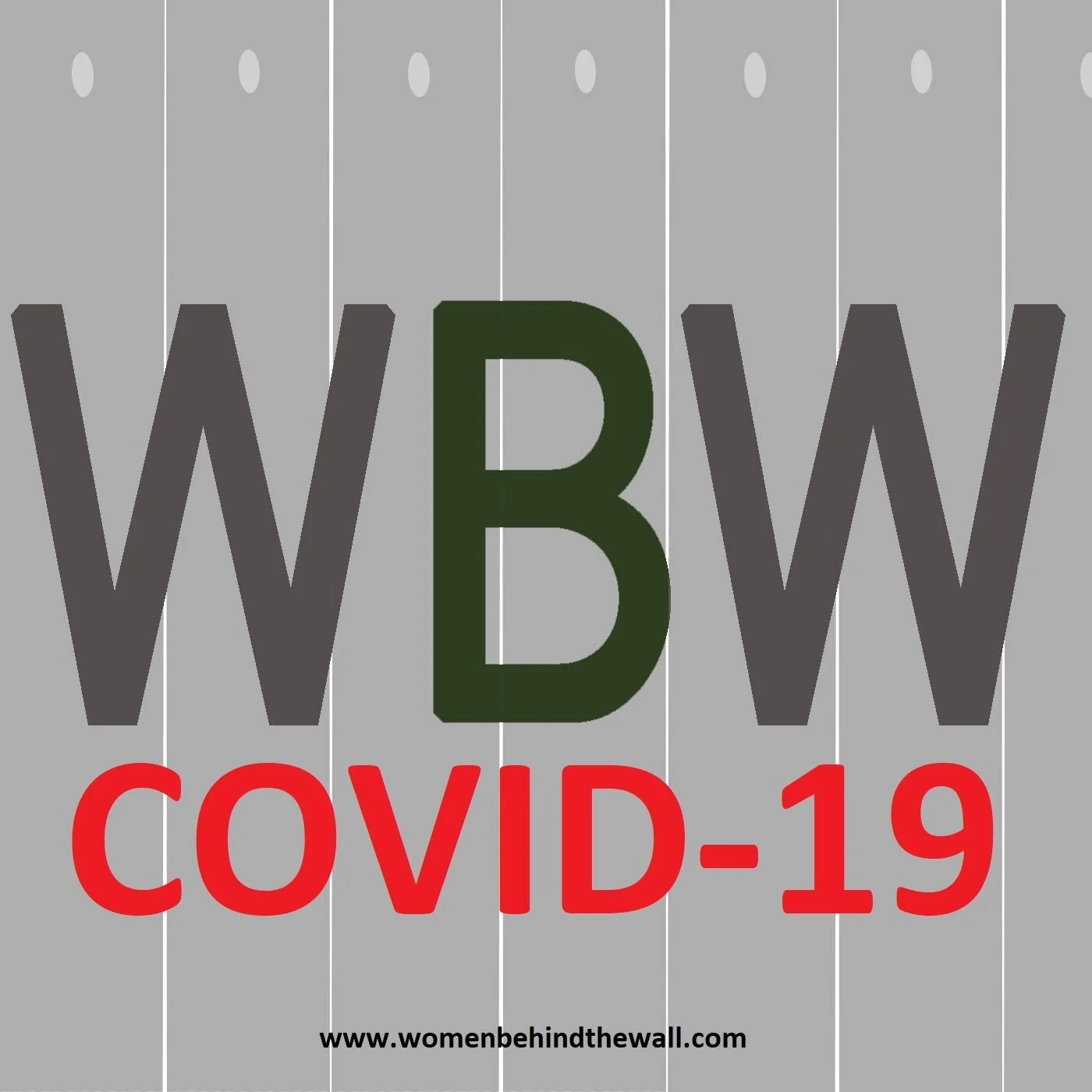 Episode 11 - A Special Episode: The Intersection of COVID-19 and the Occupation