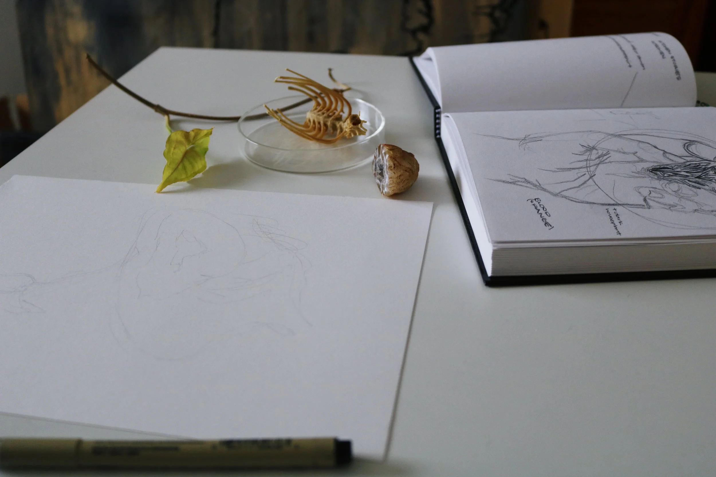 Detail of artist's workspace. Image courtesy of the artist.