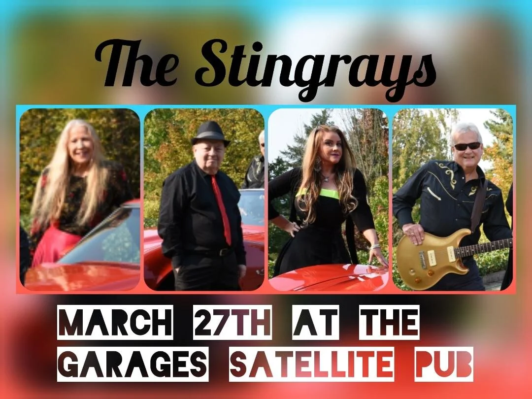 The Stingrays Live on stage At the Garages Satellite Pub