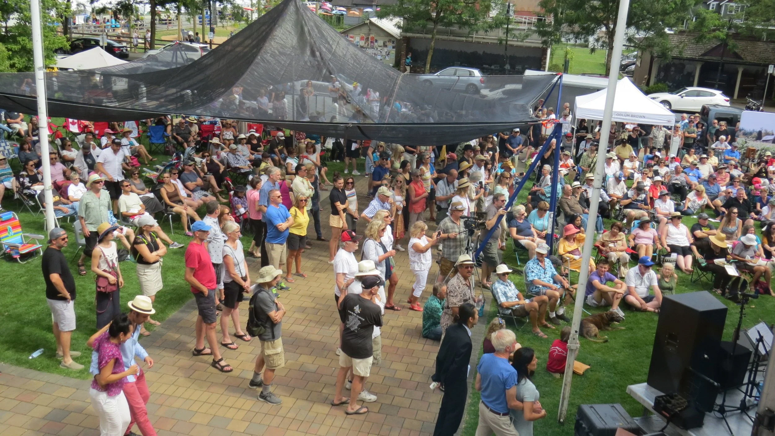  Summer music festivals are back: Here are 10 to see around B.C