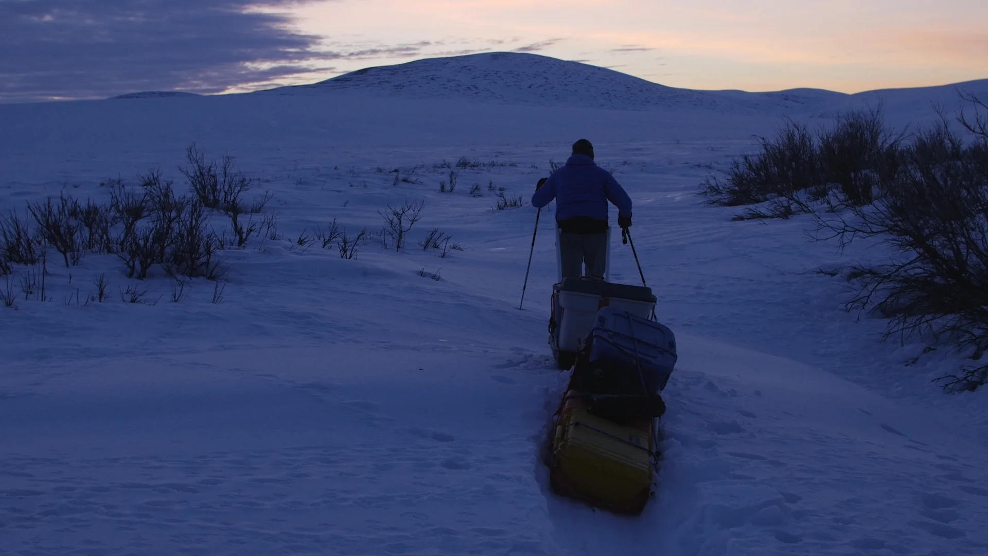 CAMERA TRAP Poster_Image_Skiing.jpg