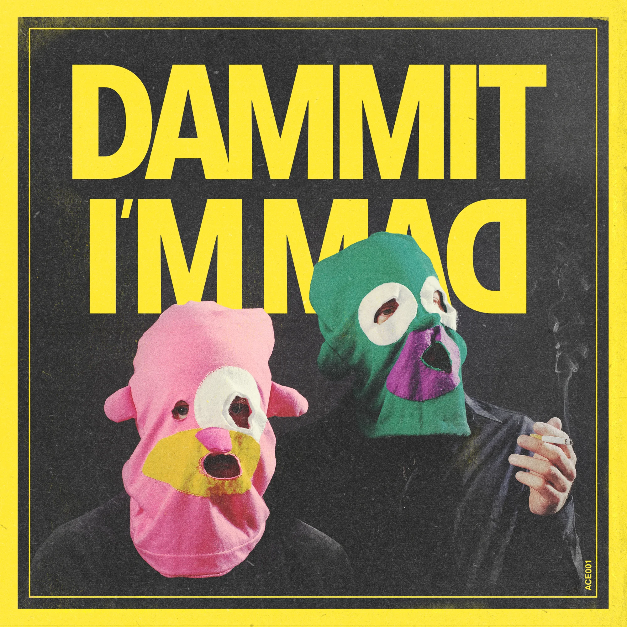 DIM_ACE001_2000x2000px.jpg