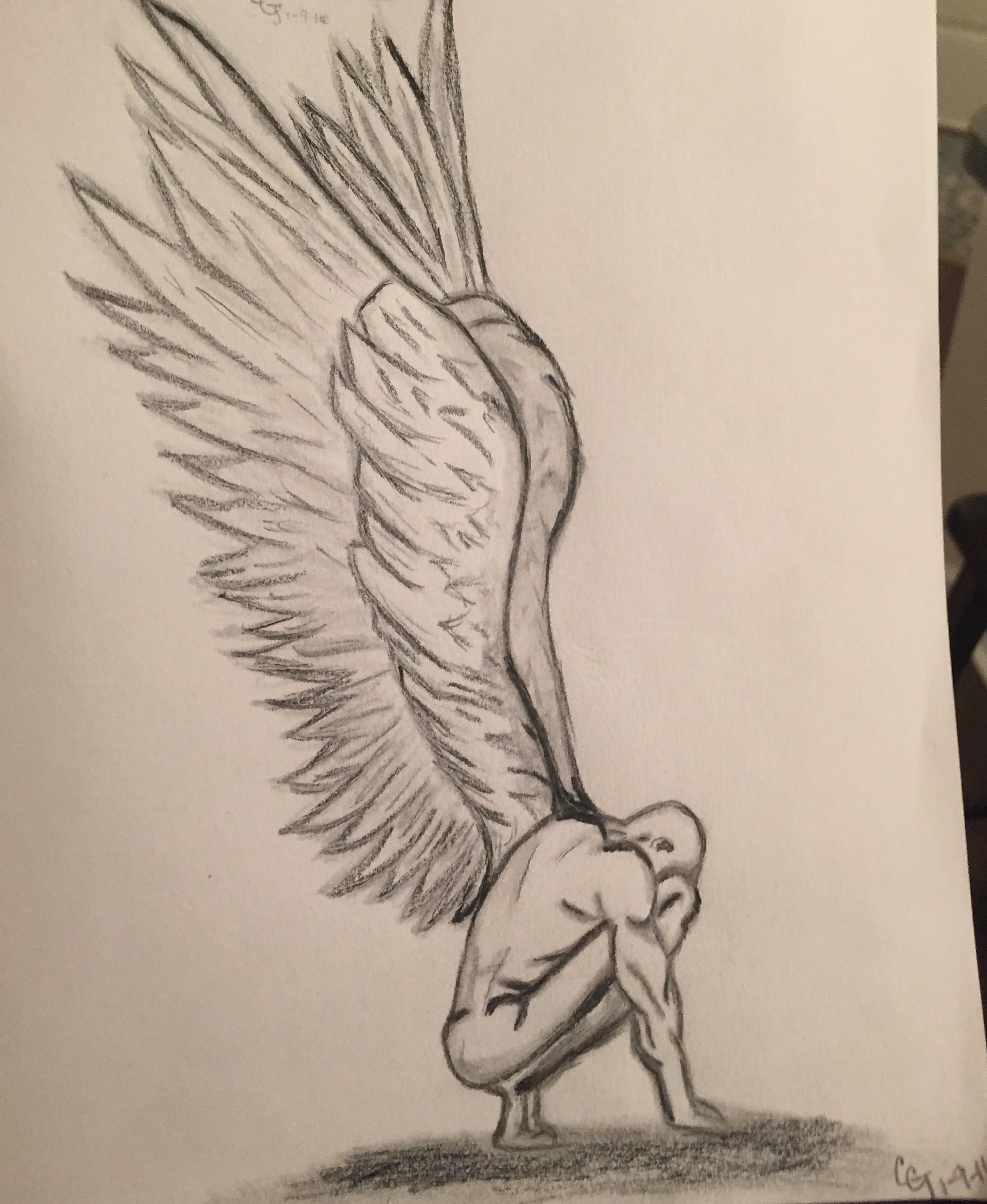 wings.jpg