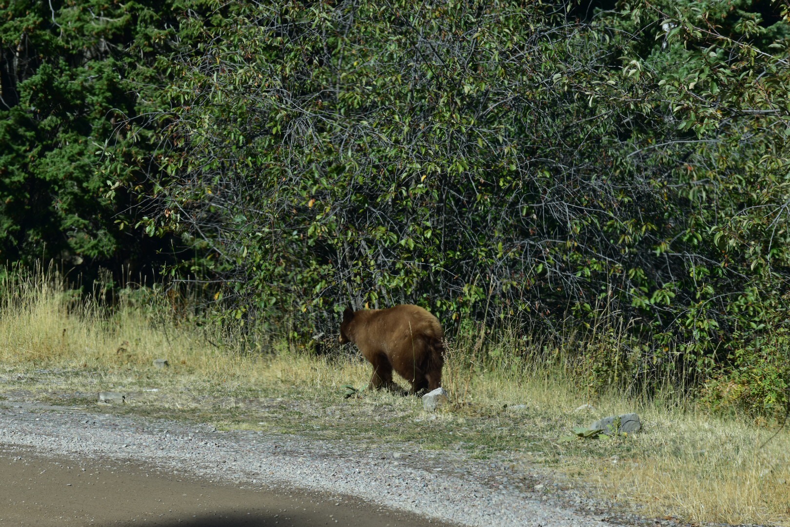 We came across this little guy and scared him.