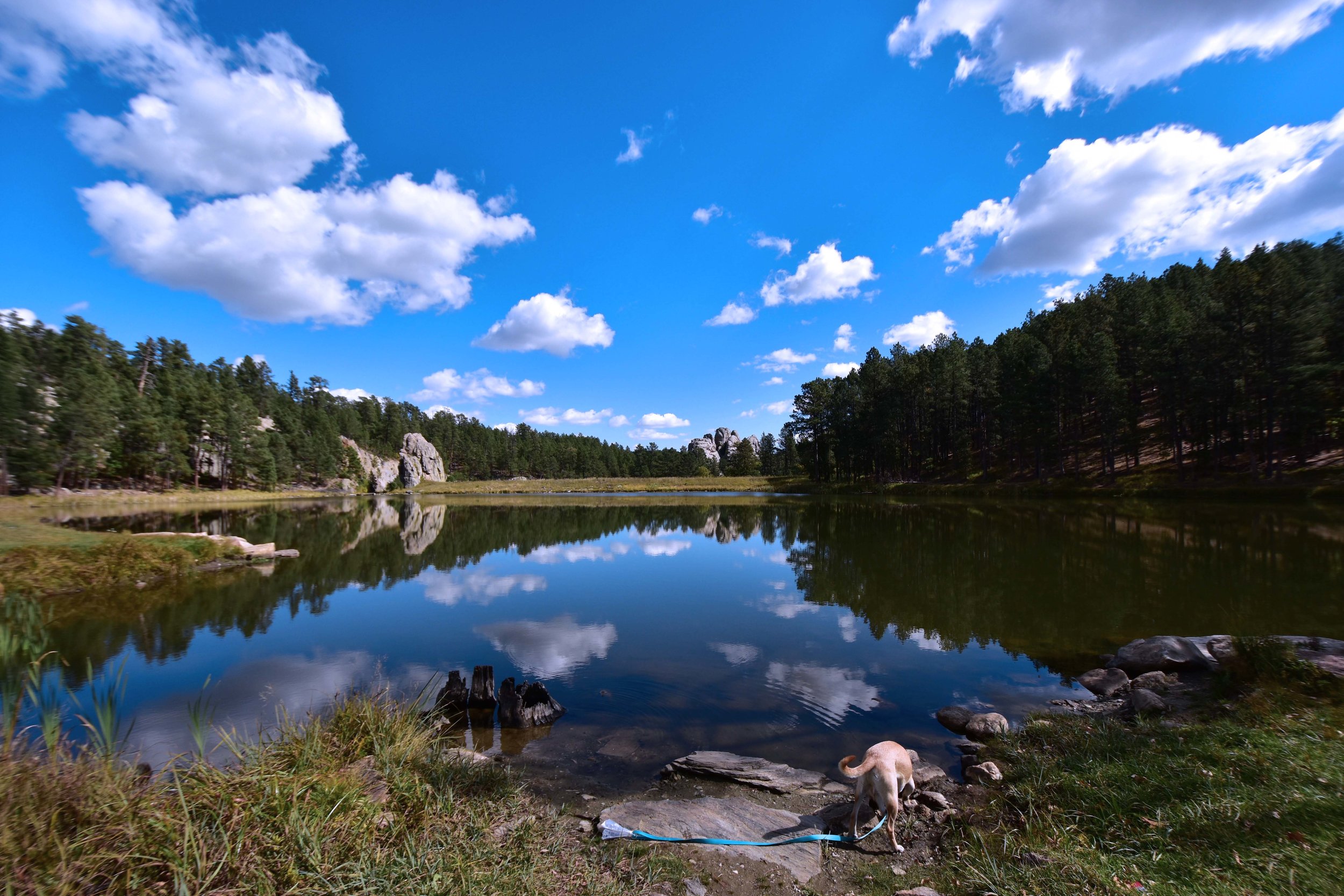 Black Hills SD