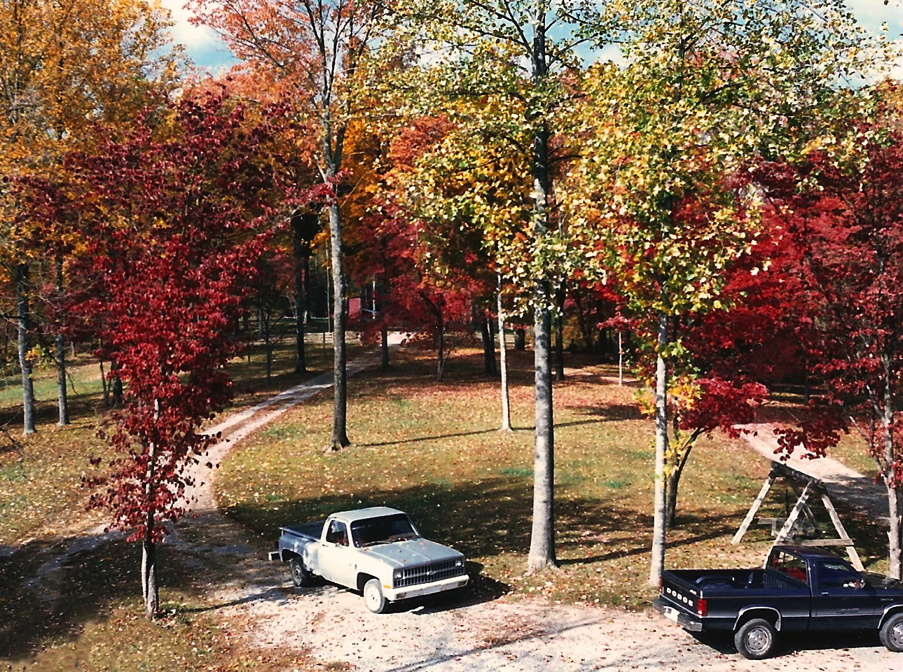 front yard in fall 87.jpg