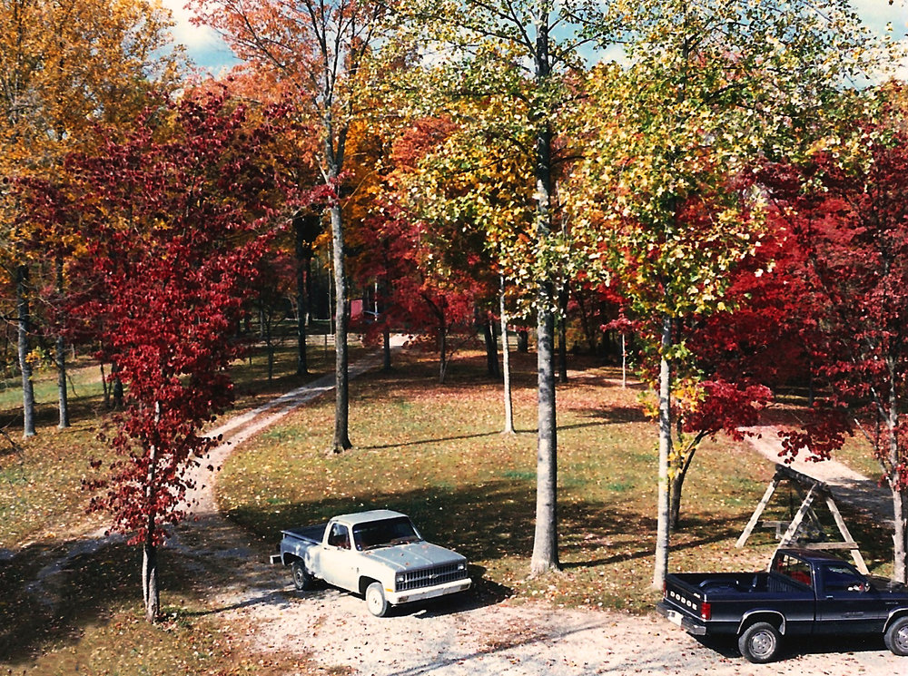 front yard in fall 87.jpg