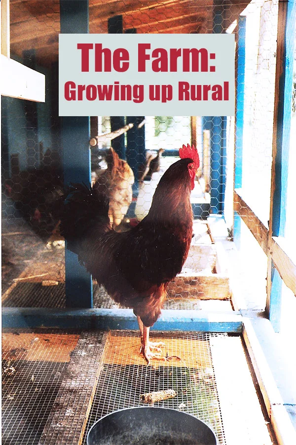 The Farm pin.jpg