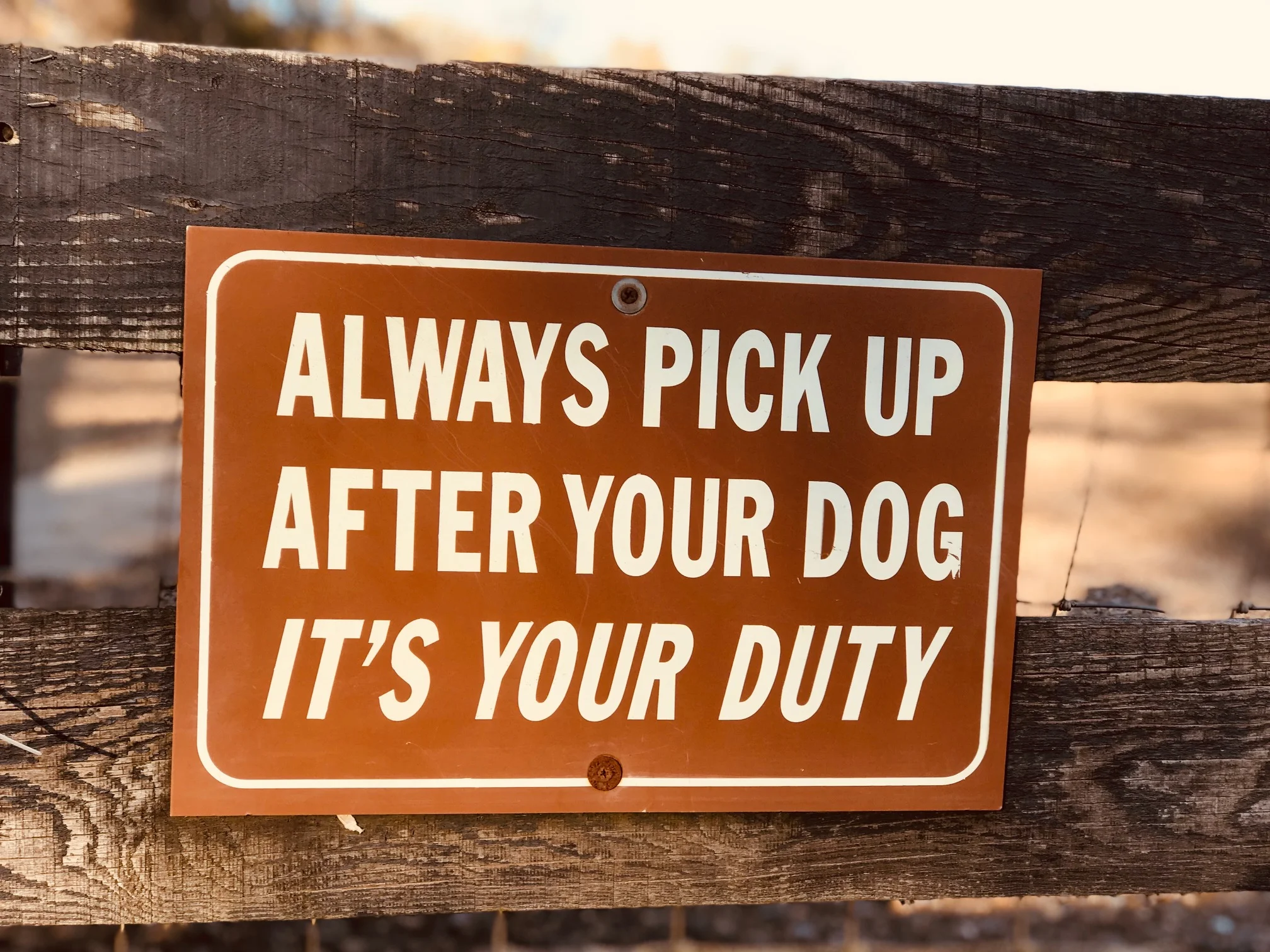 duty.jpg