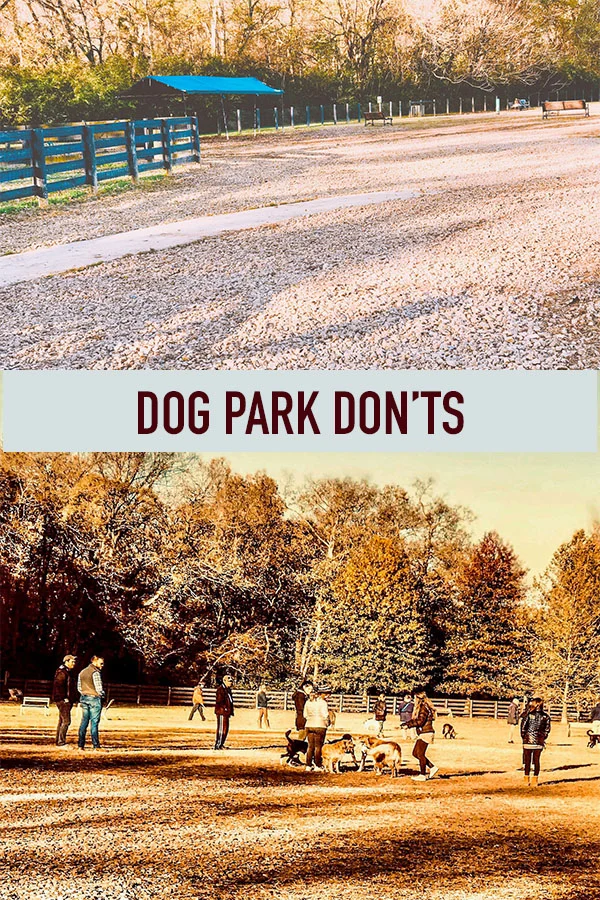 Dog Park Don'ts.jpg