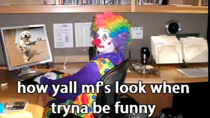 mfs.jpg