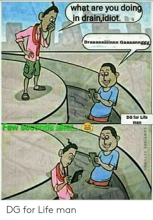 dg.png