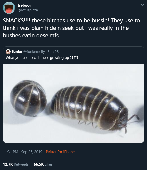 lotusplaza.png