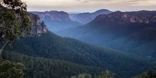 HINDRANCES AND ANTIDOTES