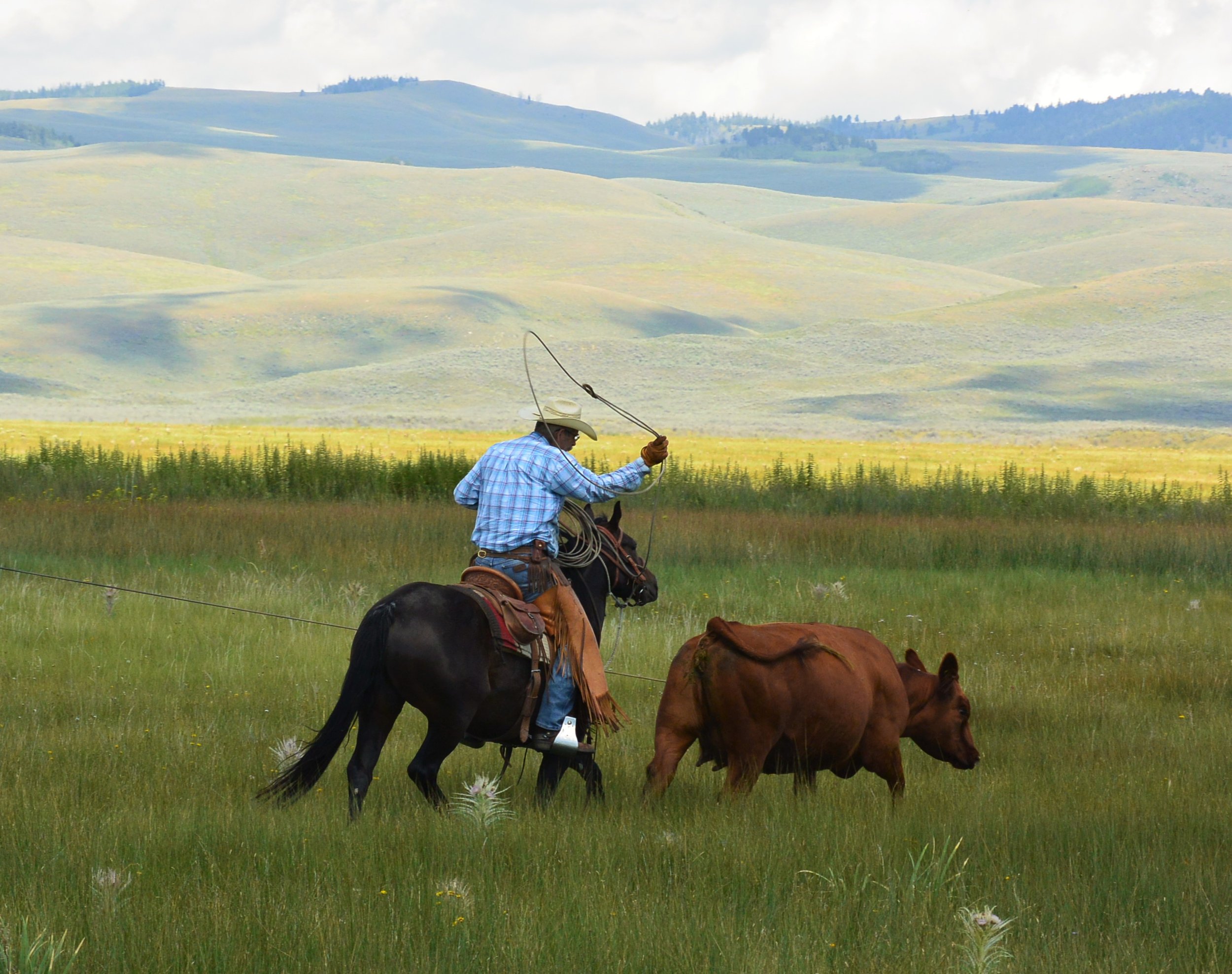 Mark Roping Centennial.jpg