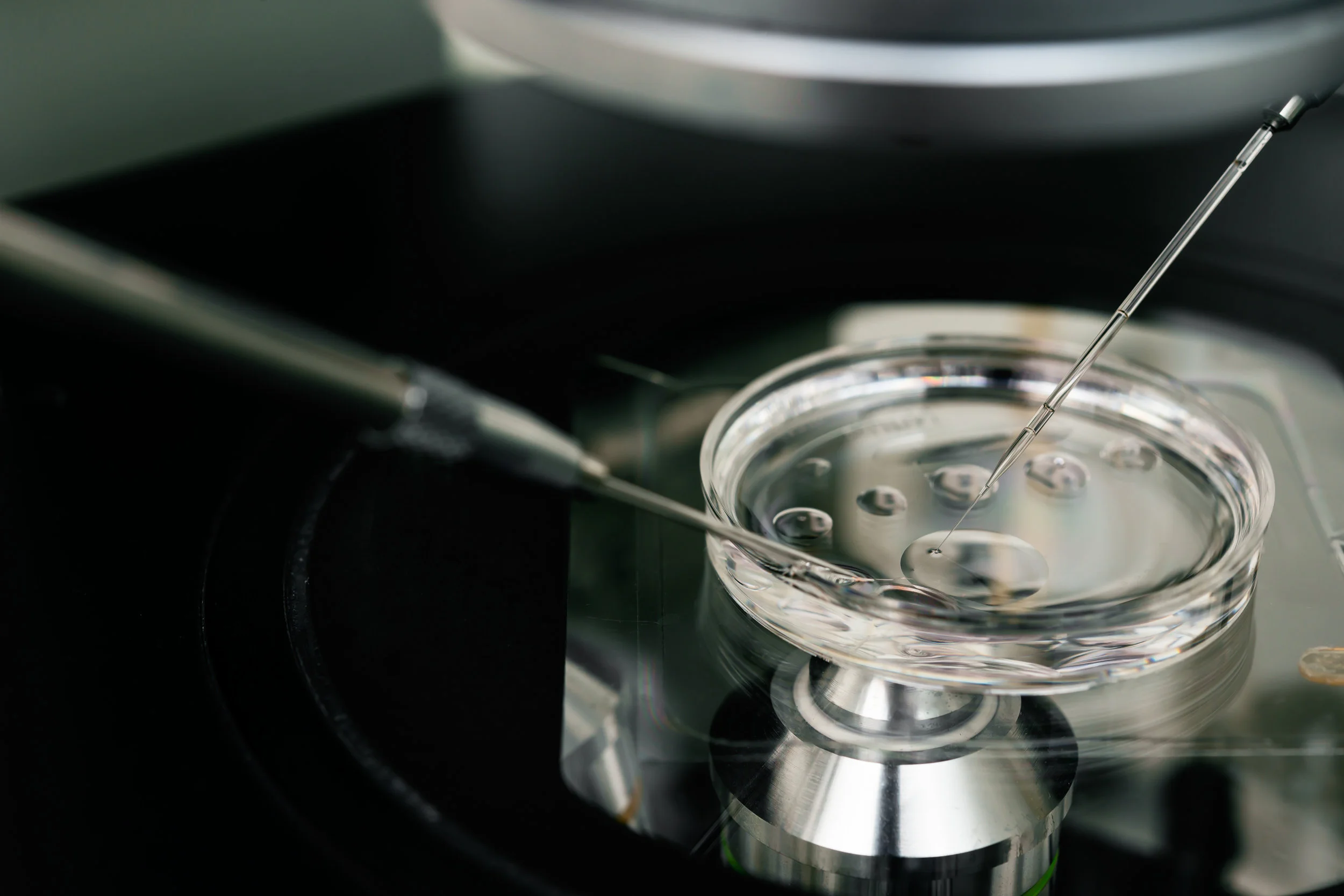 IVF Embryology Micromanipulation