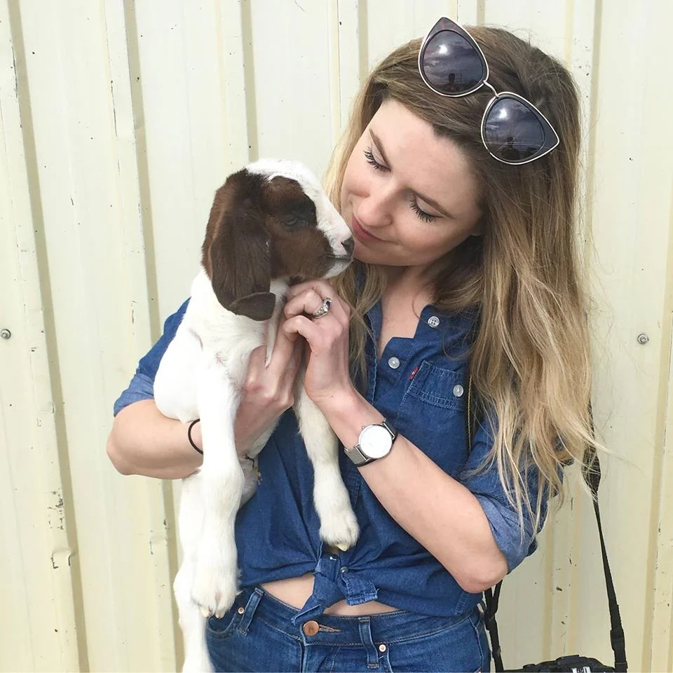 WHY HAVE YOU DONE THIS?  How and why I went vegan.