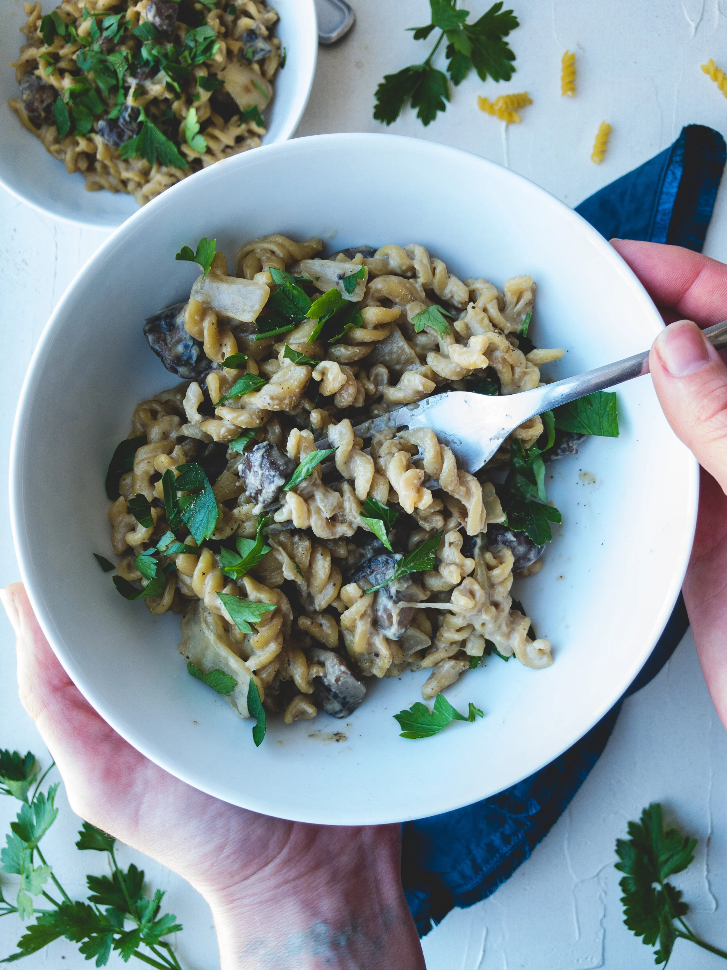 Creamy One-Pot Mushroom Stroganoff