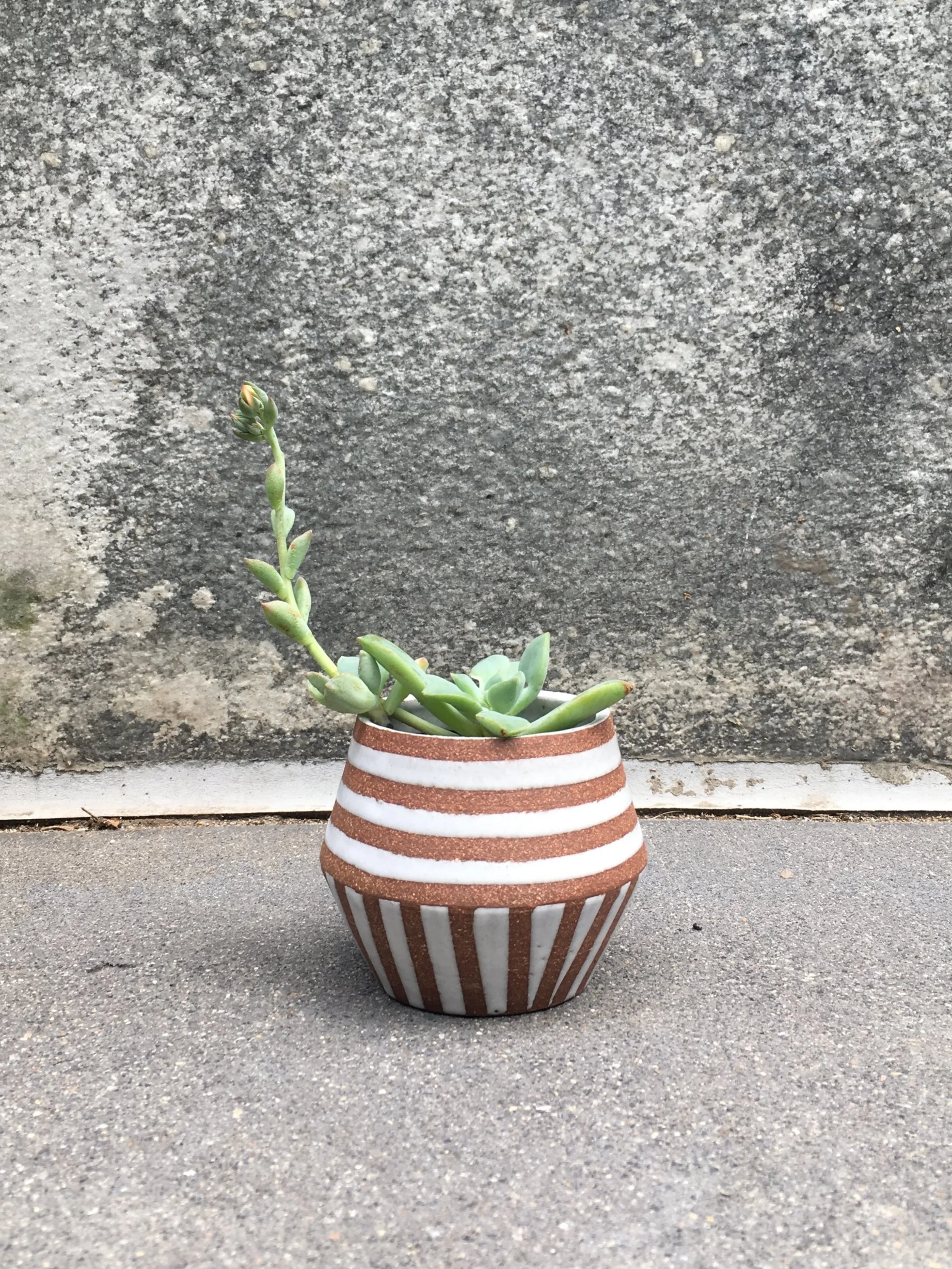 mini+planter+front.jpg