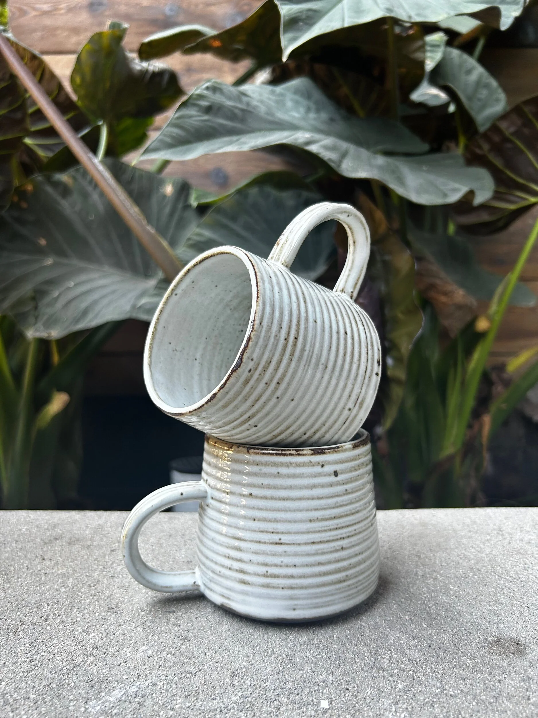 41A253E9-B50B-4122-BD54-86D2A25A2EE0