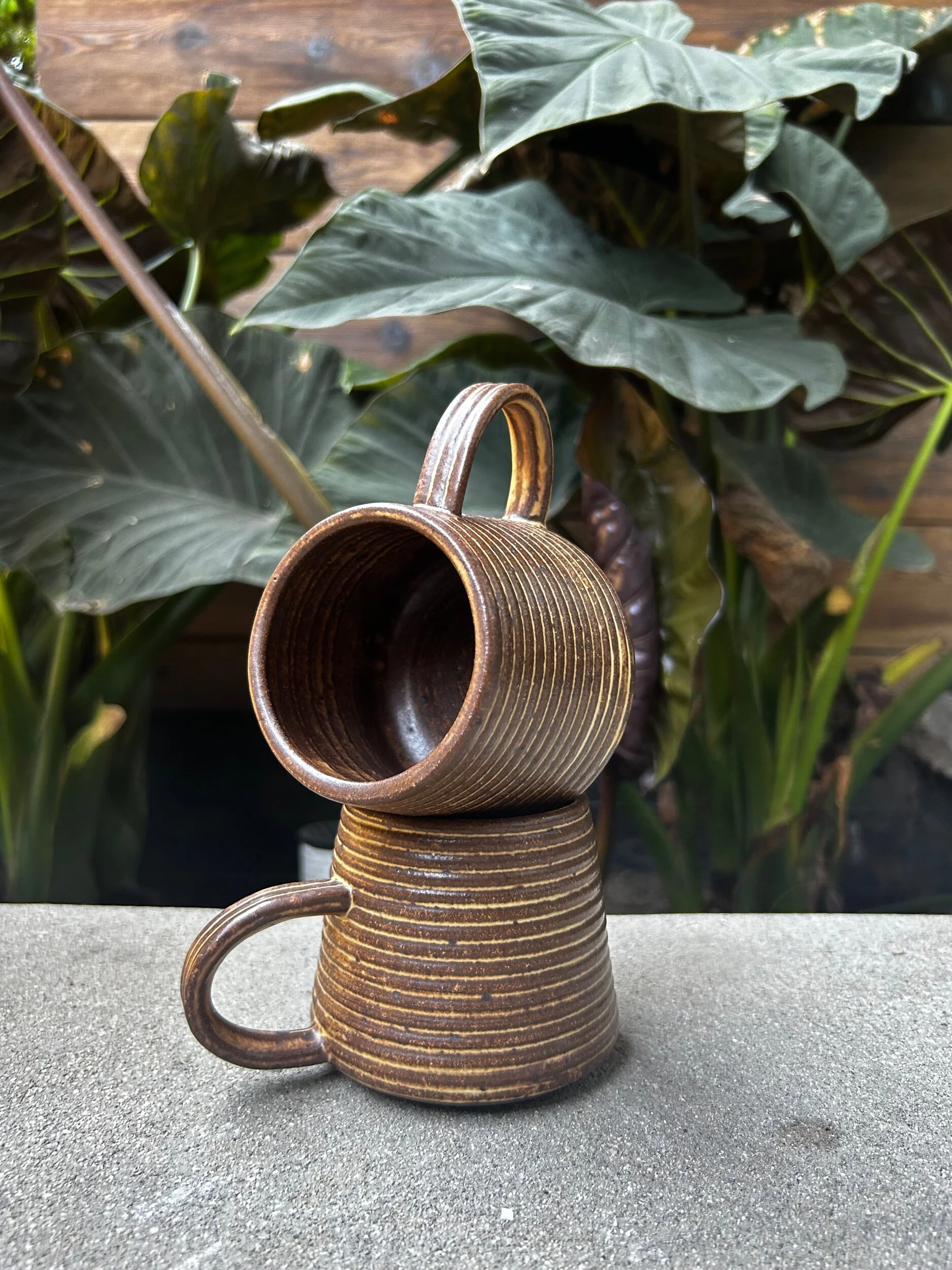 1810F516-8AA8-4909-A01D-36145404849C