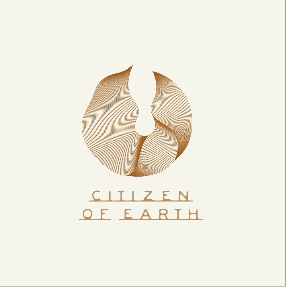 Análise de Citizens of Earth