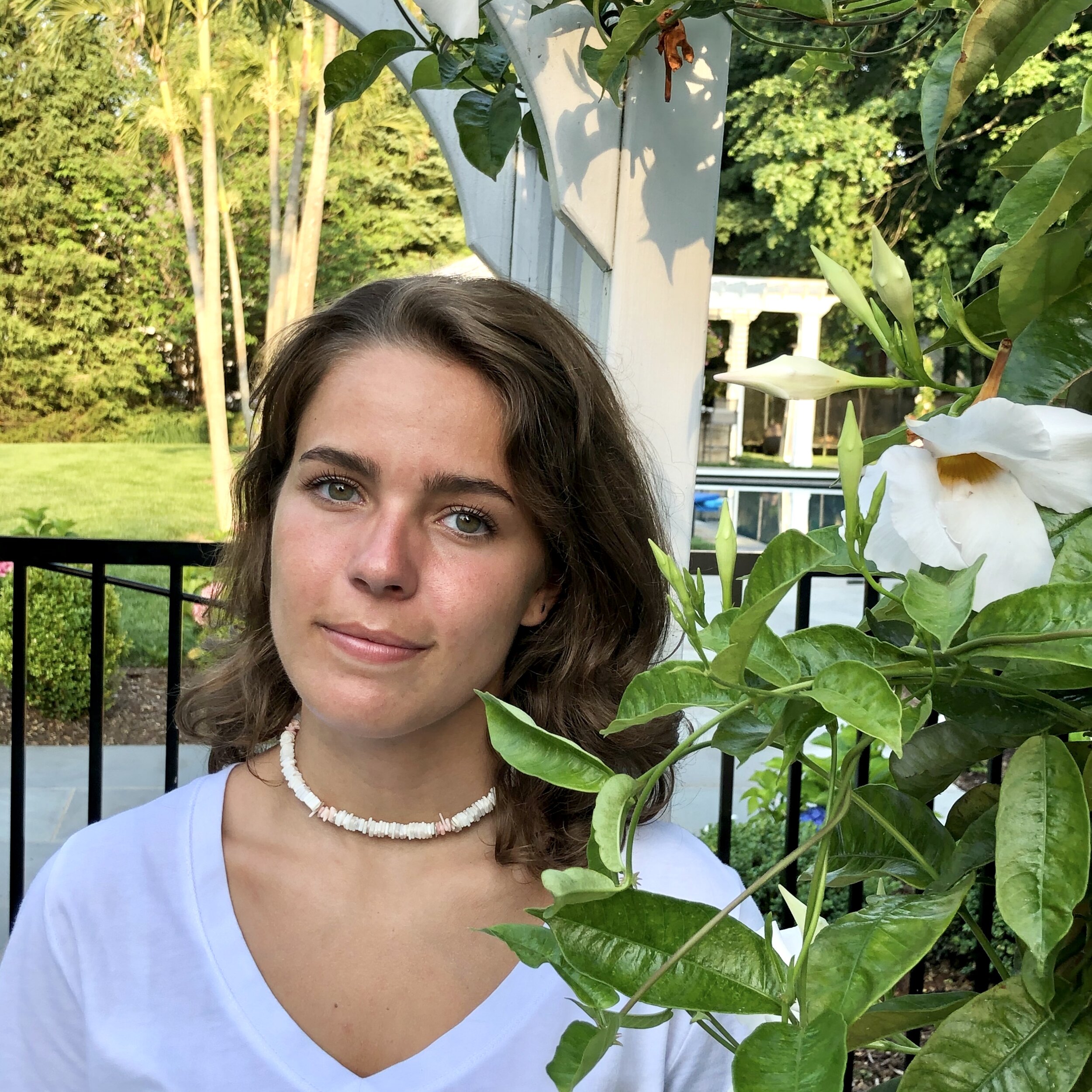 8 — Peony Collection