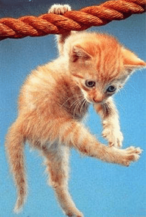 My Uncle Died of That...